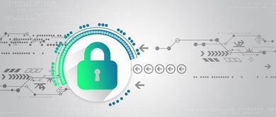 构建铜墙铁壁 企业网站如何通过专业软件开发防范客户信息网络钓鱼攻击